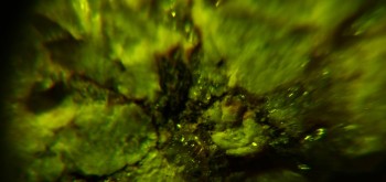 2017-02-23 06-18-30 (2).JPG