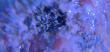 2017-02-23 06-19-34 (2).JPG