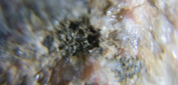 2017-02-23 06-19-34 (3).JPG