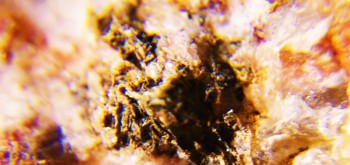 2017-02-23 06-19-44 (2).JPG