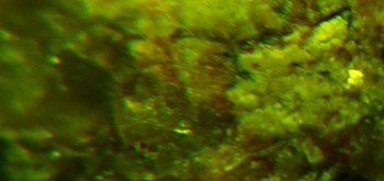 2017-02-23 06-20-06 (3).JPG