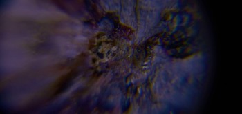 2017-02-23 06-20-52 (2).JPG