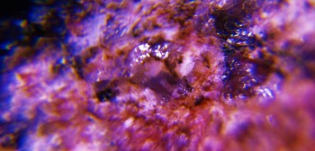 2017-02-23 06-21-40 (2).JPG