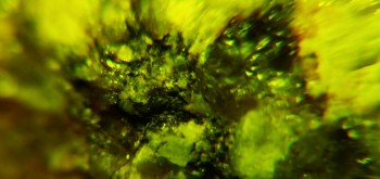 2017-02-23 06-21-46 (2).JPG