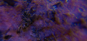 2017-02-23 06-22-12 (2).JPG