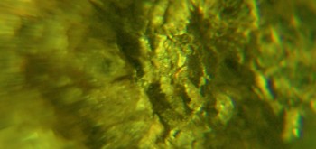 2017-02-23 06-23-28 (2).JPG