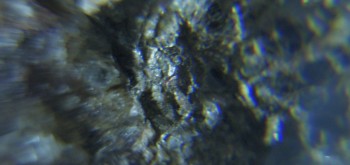 2017-02-23 06-23-28 (3).JPG