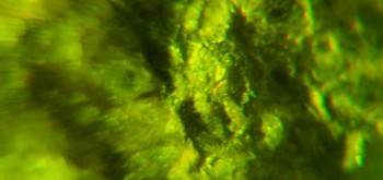 2017-02-23 06-23-28 (4).JPG