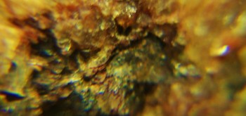 2017-02-23 06-23-44 (3).JPG