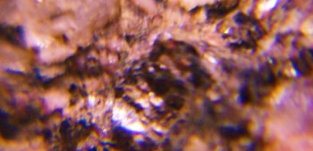 2017-02-23 06-23-50 (3).JPG