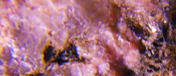 2017-02-23 06-25-26 (5).JPG