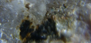 2017-02-23 06-25-30 (2).JPG