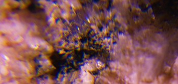 2017-02-23 06-25-30 (3).JPG