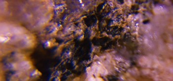 2017-02-23 06-25-52 (2).JPG