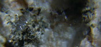 2017-02-23 06-25-52 (3).JPG