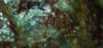 2017-02-23 06-26-10 (2).JPG