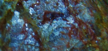 2017-02-23 06-26-10 (3).JPG