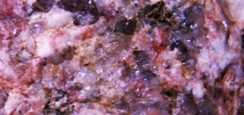 2017-02-23 06-26-16 (2).JPG