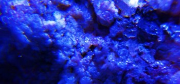 2017-02-23 06-26-42 (2).JPG