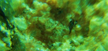 2017-02-23 06-26-52 (2).JPG