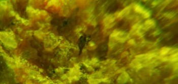 2017-02-23 06-26-52 (3).JPG