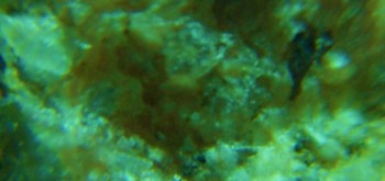 2017-02-23 06-26-52 (4).JPG