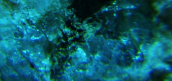 2017-02-23 06-27-06 (2).JPG