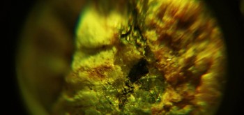 2017-02-23 06-27-06 (3).JPG