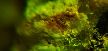 2017-02-23 06-27-06 (4).JPG