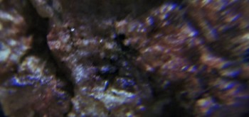 2017-02-23 06-27-12 (3).JPG