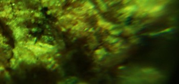 2017-02-23 06-27-12 (4).JPG