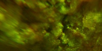 2017-02-23 06-27-30 (2).JPG