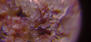 2017-02-23 06-27-36 (3).JPG