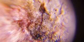 2017-02-23 06-28-16 (3).JPG