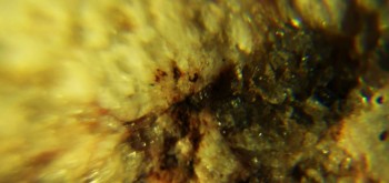 2017-02-23 06-28-32 (2).JPG