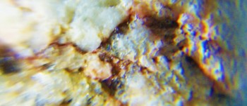 2017-02-23 06-28-46 (2).JPG