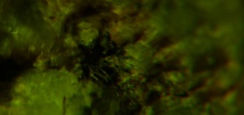 2017-02-23 06-29-20 (2).JPG