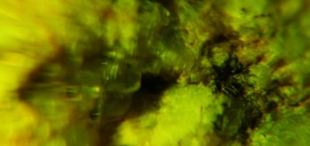 2017-02-23 06-29-20 (3).JPG