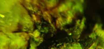 2017-02-23 06-29-36 (2).JPG