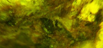 2017-02-23 06-30-24 (3).JPG