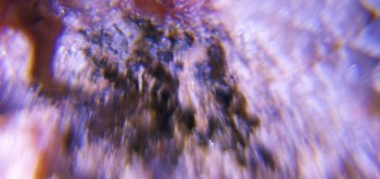 2017-02-23 06-30-46 (2).JPG