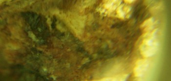 2017-02-23 06-30-24 (4).JPG