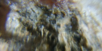 2017-02-23 06-30-46 (3).JPG