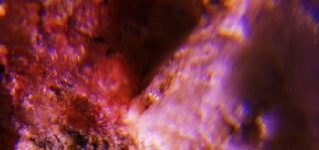 2017-02-23 06-30-46 (4).JPG