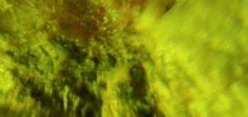 2017-02-23 06-30-46 (5).JPG