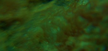 2017-02-23 06-31-38 (2).JPG