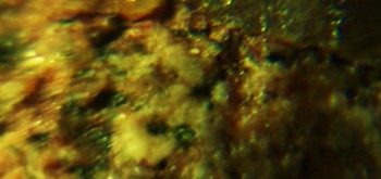 2017-02-23 06-31-52 (2).JPG