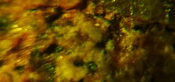 2017-02-23 06-31-52 (3).JPG