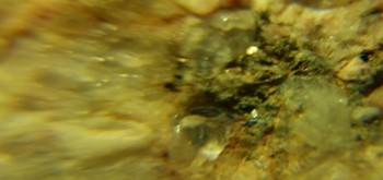 2017-02-23 06-32-28 (2).JPG