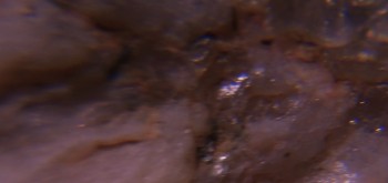 2017-02-23 06-32-44 (3).JPG